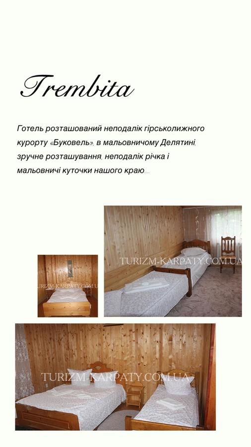 Мотели Трембіта Делятин
